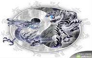 Ying-Yang new