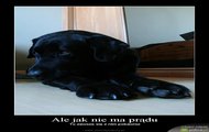ale jak nie ma prądu