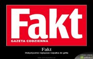 fakt XD