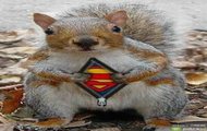 super wiewiorka xd xxx