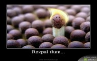 rozpal tlum xd xxx