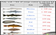 Kwasy tłuszczowe Omega 3 fatty acids