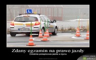 Zdany egzamin na prawo jazdy siuks24
