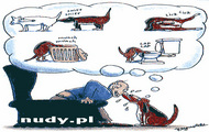 Pieska miłość