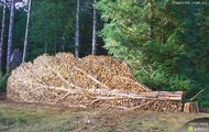 Ciekawe ułożenie drewna 2