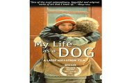 biografia Arnold Alfredsson