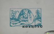 Księżyc tapety