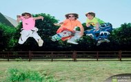 The Aliens tapety