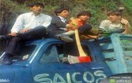 zespół Los Saicos