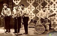 galeria Los Saicos