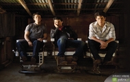 galeria Jonas Brothers