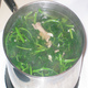 galeria Salad