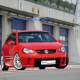 Polo Virtual Tuning