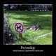Przywileje szlachty