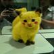 Pikachuu