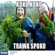 Koko koko. zdjęcia