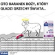 Oto baranek bozy nr1. zdjęcia