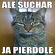  zdjęcia