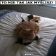 to nie tak jak myślisz kotku zdjęcia
