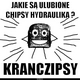 Chipsy hedraulika. zdjęcia