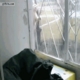 Kot ninja nr1. zdjęcia