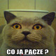 zdjęcia