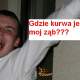 gdzie moj zab