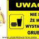 Gruba dupa