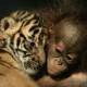 Tygrysek Dema i Orangutan Irma