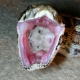 Wężyk