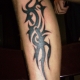 TRIBAL TATTOO