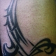 TRIBAL TATTOO ART
