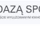 jak kwiat na tafli jeziora