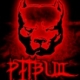Tapeta na tel. kom. Pit Bull