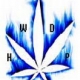 Tapeta na tel. kom. HWDP1