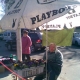 Króliczek Playboya.jpg
