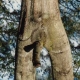 naturalny sex 01