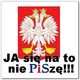 wybory 2007 pis po vlepka