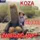 Koza-Podróznik