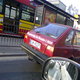 64 Konie i mół