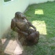 śmieszne filmy