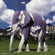 slon milka