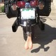 Motor jak macho