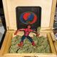 Spiderman i jego tajemnica mocy