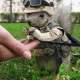 Wiewior Soldier