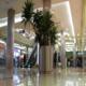 M@x Fotki - LUBLIN PLAZA