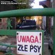 zle psy xxx
