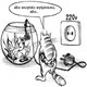 kot i rybka