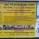 Antyhomoseksualna propaganda na ulicach Krakowa