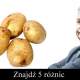 Znajdź 5 różnic
